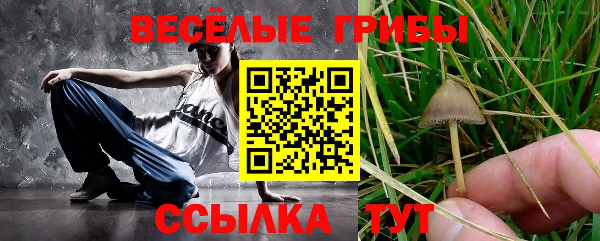 Галлюциногенные грибы MAGIC MUSHROOMS  Вход с VPN  Галлюциногенные грибы мухоморы  Кудрово 