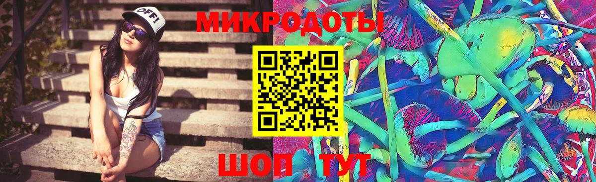 Галлюциногенные грибы Psilocybine cubensis Кудрово